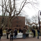 The Envirolutions table during Green Week