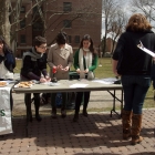 The Envirolutions table during Green Week